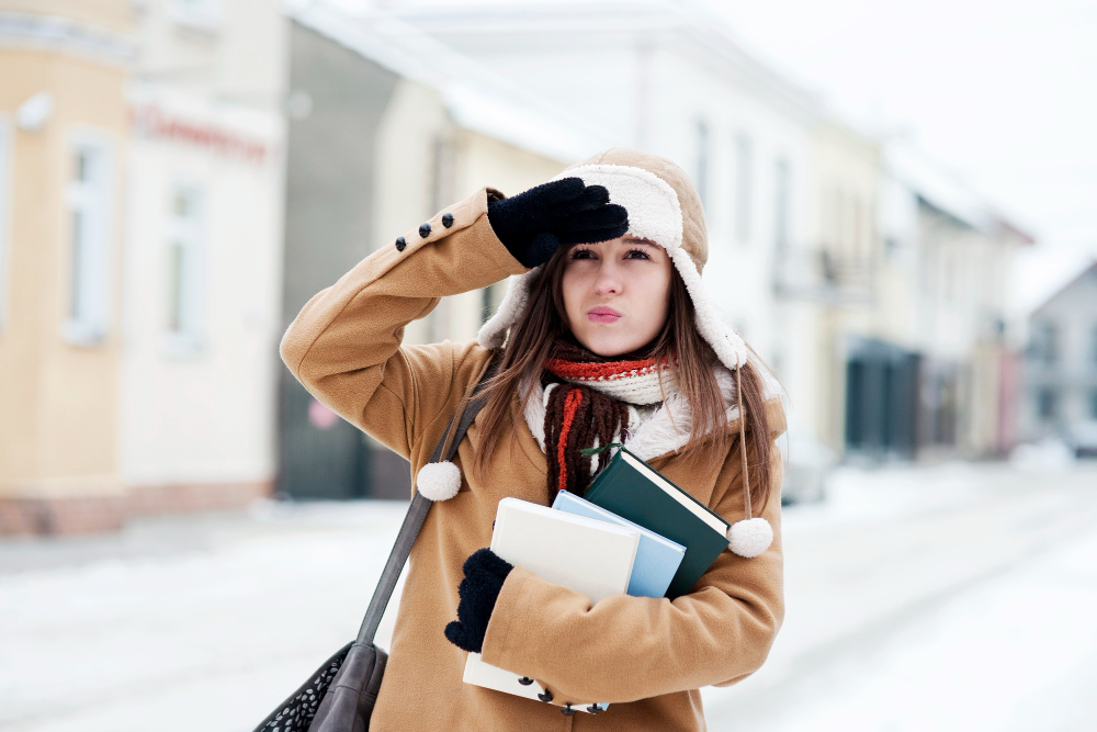 Viajar para países frios: primeiros passos para viajar 4 Viajar para paises frios 4
